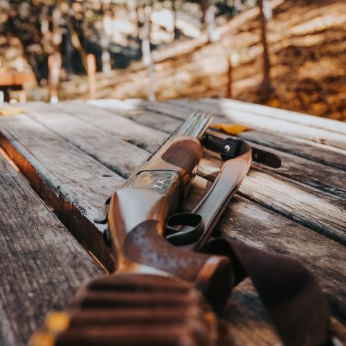 Firearms